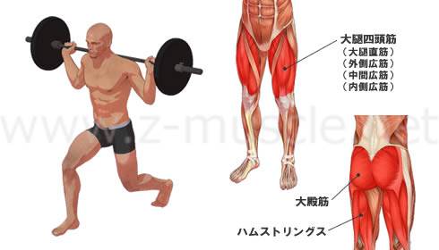 ランジ：大腿四頭筋の筋力トレーニング