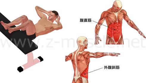クランチ：腹筋の筋力トレーニング