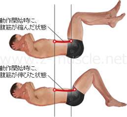 腹筋運動（クランチ） 足の位置と負荷のかかり方