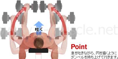 ダンベル・ベンチプレスとダンベルの軌道