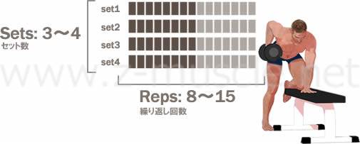 ダンベル・ローイング　回数とセット数の目安