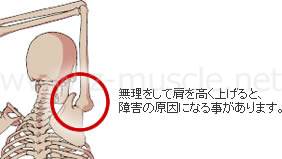 無理をして肩を高く上げると、障害の原因になる事があります。