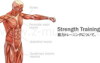 筋力トレーニングについて