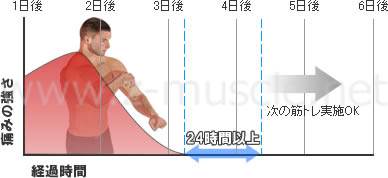 筋トレの休養日数設定方法