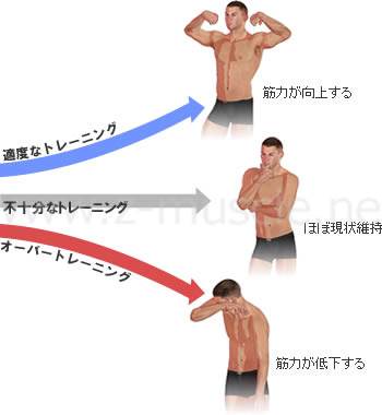 筋力トレーニングと効果の関係